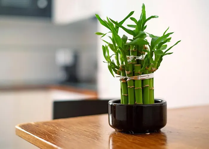 Casa Rosi 2 Ferienhaus *