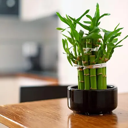 Casa Rosi 2 Casa vacanze *